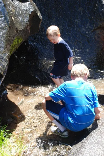 DSC_0073 (Large).JPG